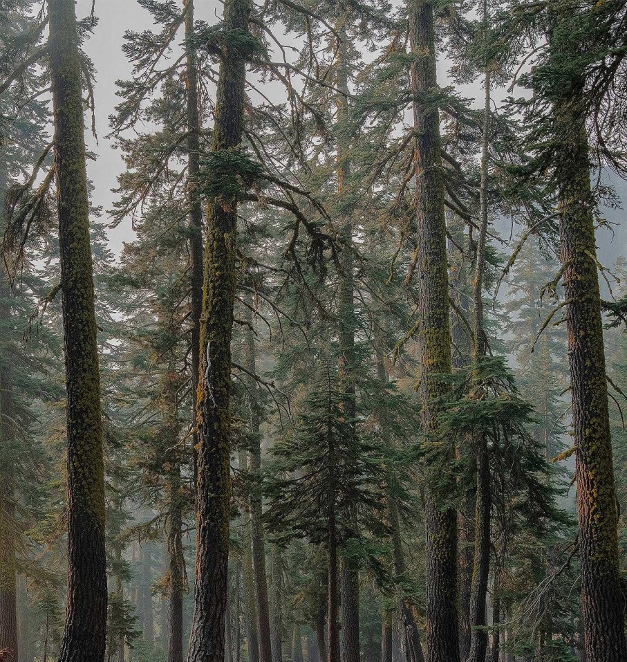 Hot Michael James Hillman Desolation Wilderness