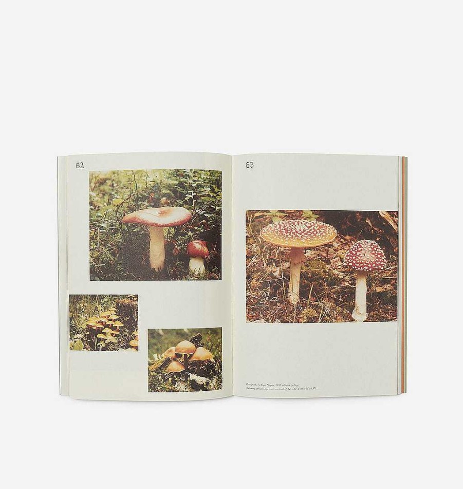 Clearance Shoppe Amber Interiors John Cage: A Mycological Foray