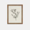 New Linen + Cloth Botanical Sketch Framed Print